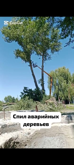 Пилим аварийные деревья!