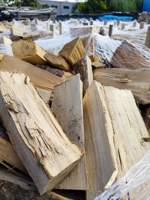 Lemne foc USCATE fag carpen frasin