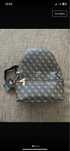 Rucsac guess     !