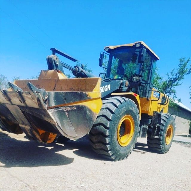 Пагуриччиу Zl50gn