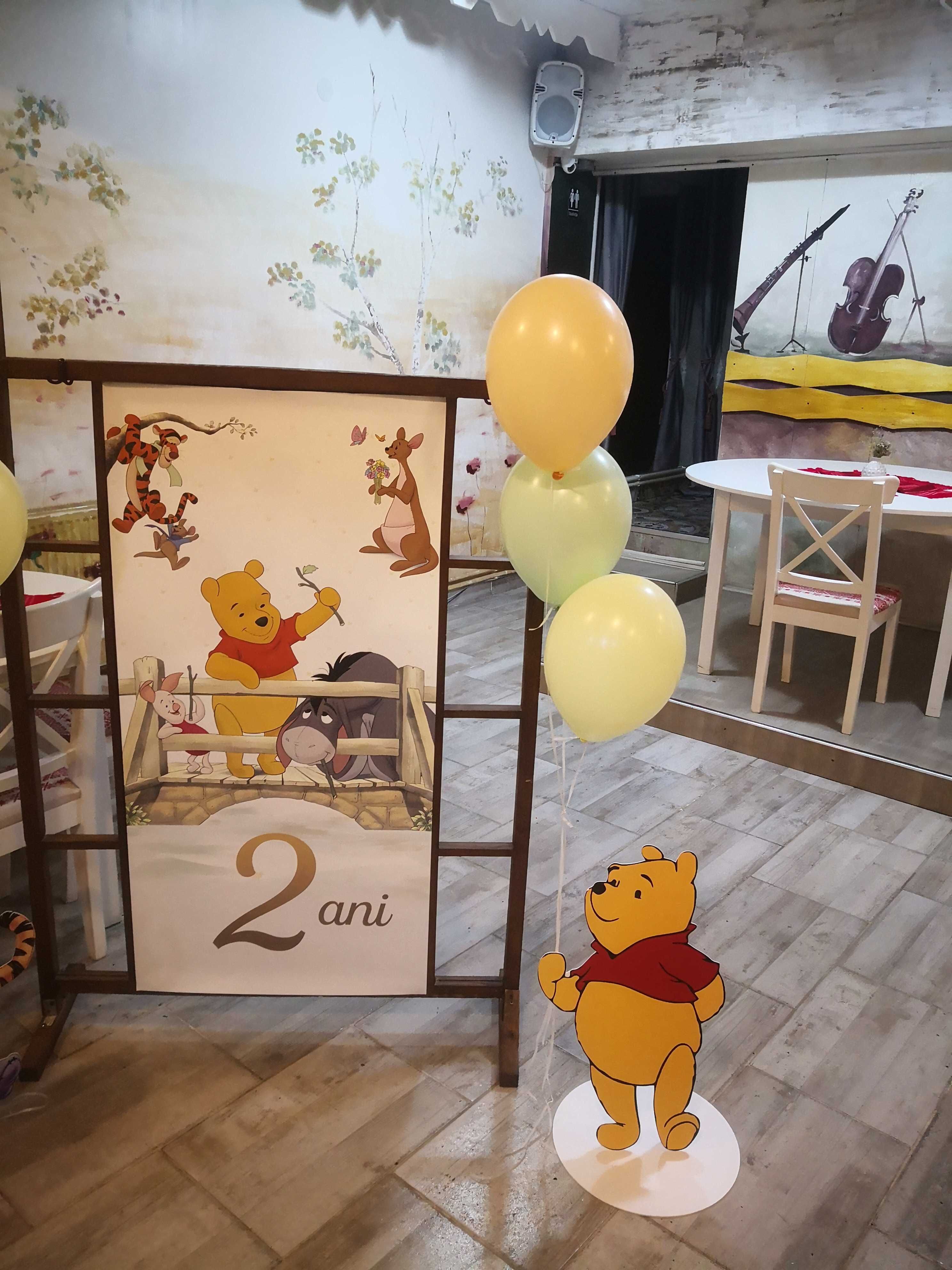 Decor aniversare copii Winnie