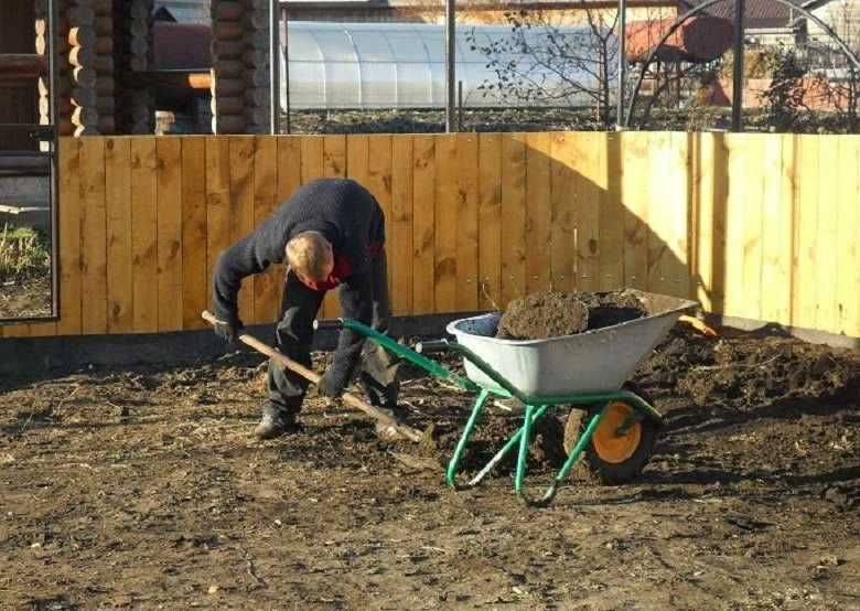 Арбаристика: спилим сухое дерево на участке. Копаем огород, дачу