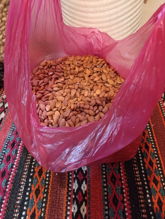 Bodom magʻzi sotiladi!