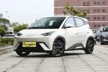 Byd seagull  full 405
