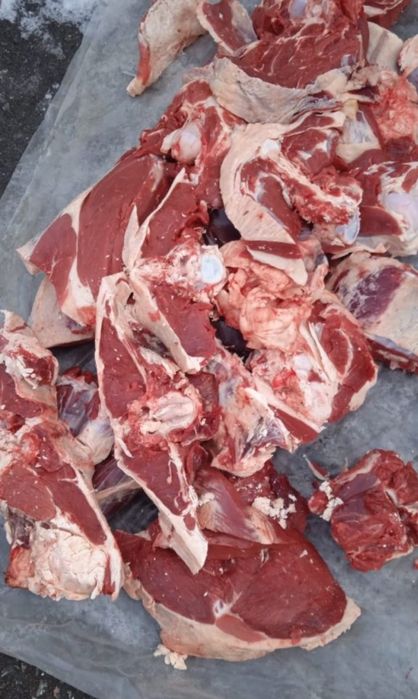 Ет мясо сиыр, говядина, жылқы, конина, қашар, байтал, құнажын, жабағы