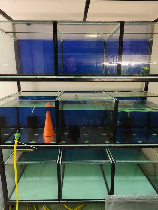 Аквариуми със стилажи,и осветление