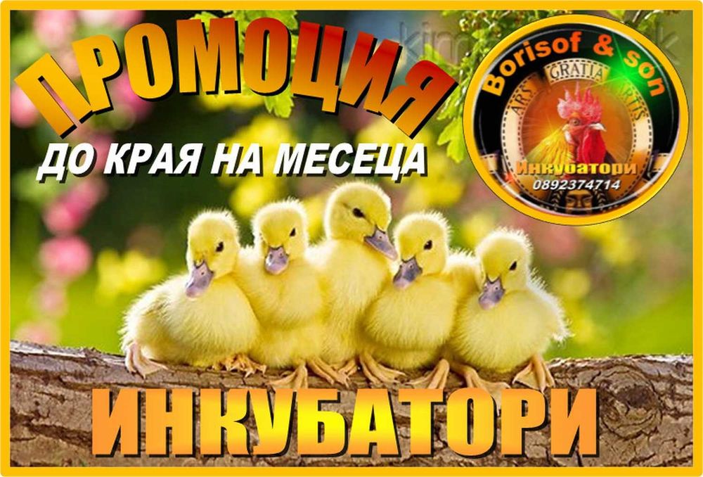 Инкубатори (български)