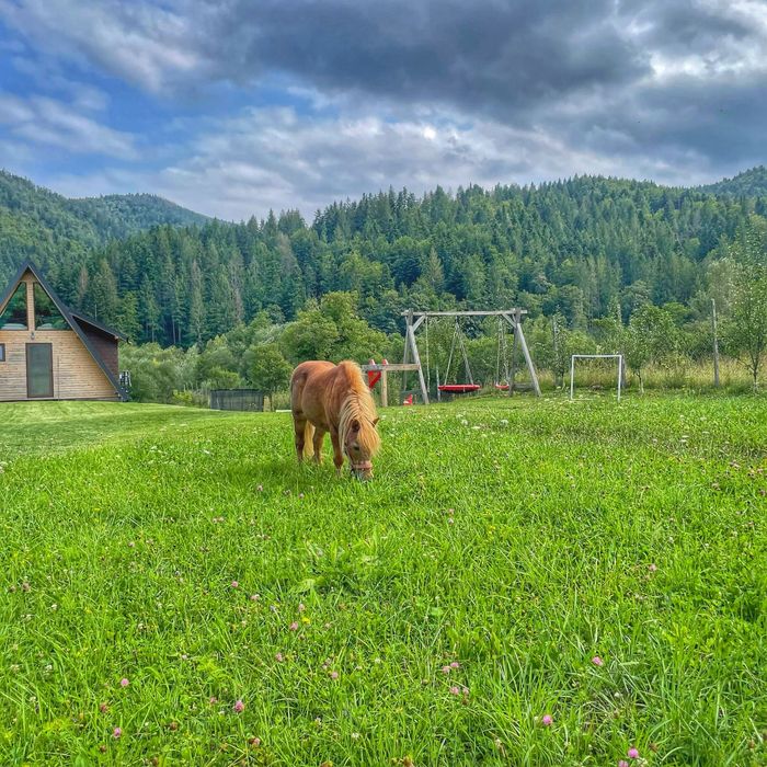 Cabana A frame Malini Suceava