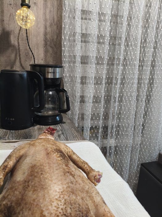 Мясо гусь молодой (4100), гусиный жир (1000)