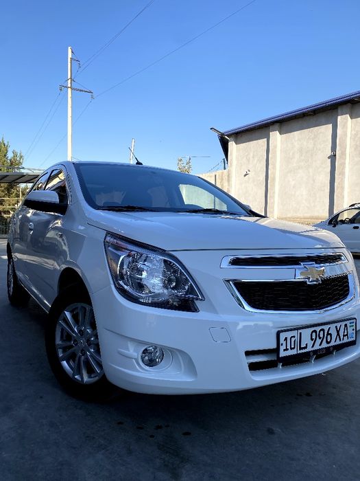 Koblt srocna sotladi yengi masla