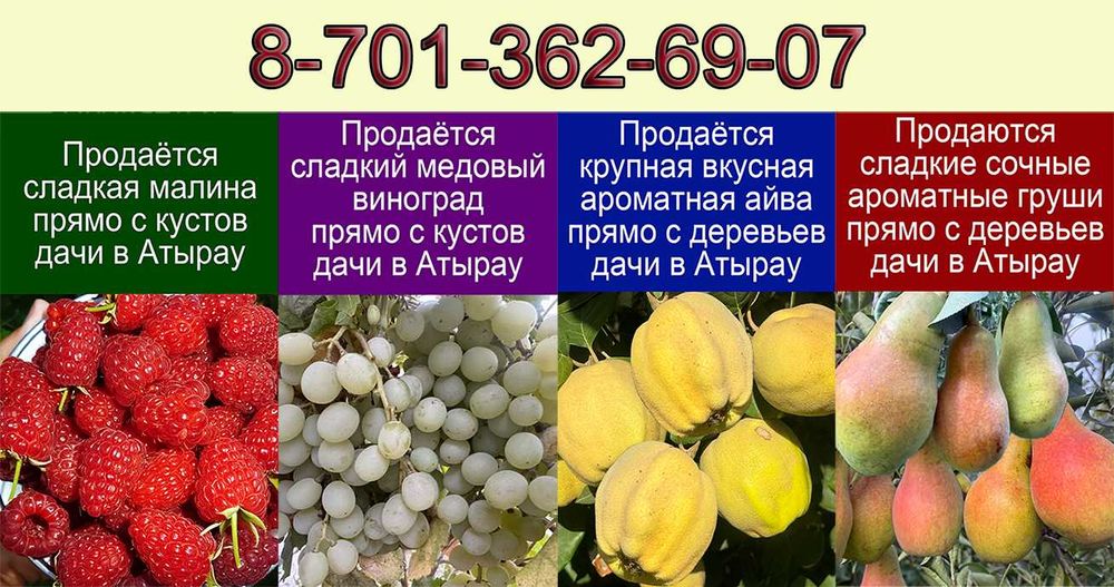 Продаются ягоды и фрукты прямо с дачи в Атырау