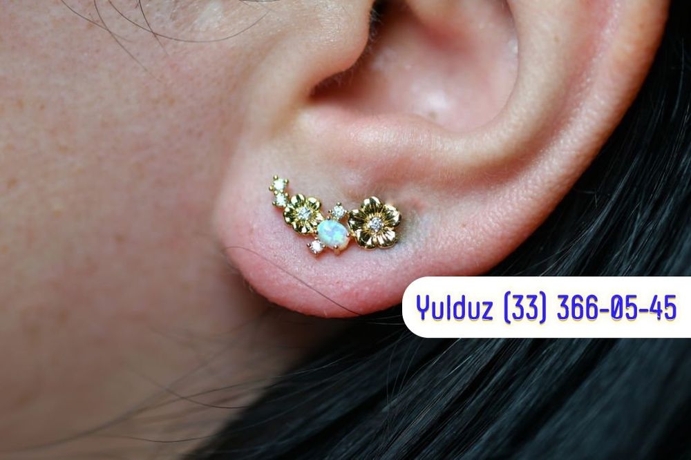 Quloq teshishga qaldirg'ochni aloqasi yuq Bizda Zamonaviy