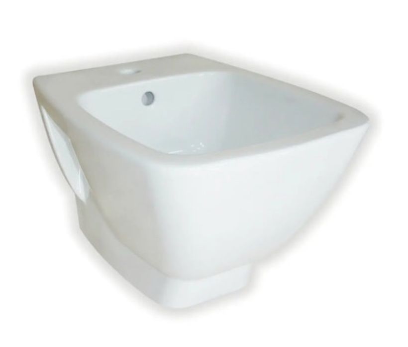 Bideu suspendat Roca Nou