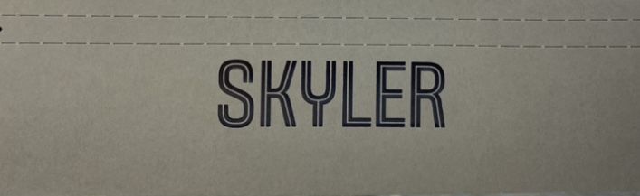 Rayban Meta wyfarer, headliner, skyler.