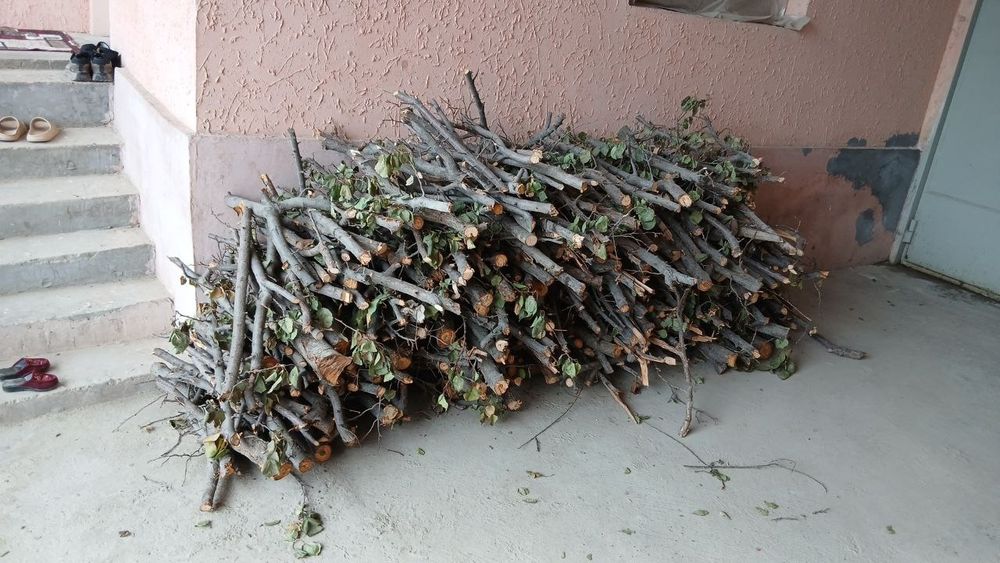 Oʻtin bor bir zil chiqib qoladi