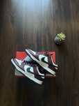 Nike Dunk Dark Team Red/Black
