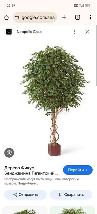 Суний гуллар Искусственные цветы Искусственные деревья