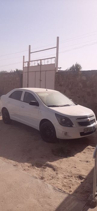 Bez probek Cobalt