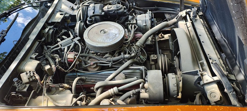 Chevrolet Corvette C3 1981