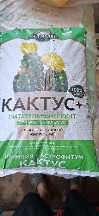 Грунт для кактусов