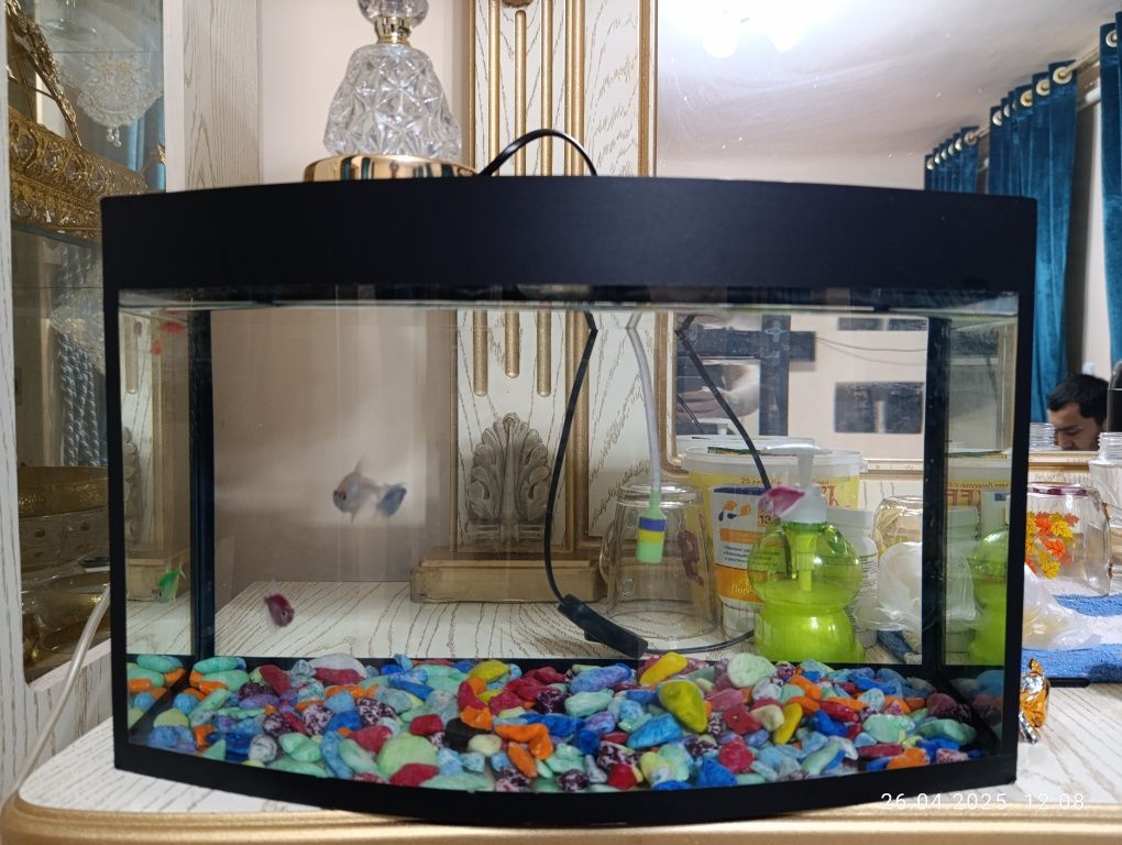 Akvarium sotilad 24 litr