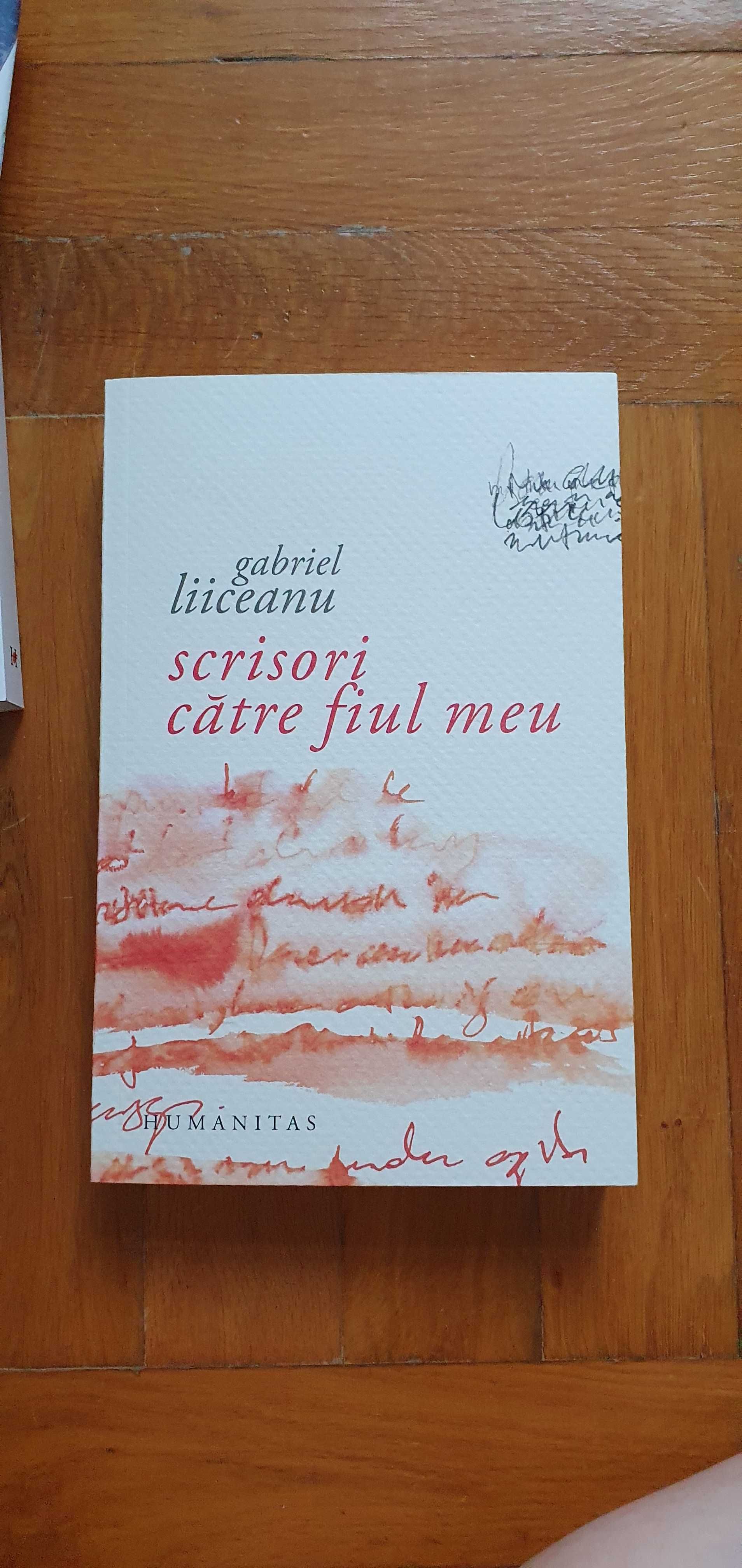 Gabriel Liiceanu - Scrisori către fiul meu