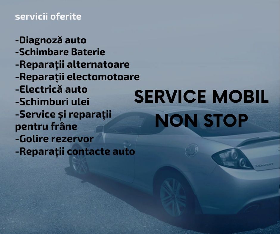 Reparatii alternatoare service mobil Diagnoza mecanic la domiciliu