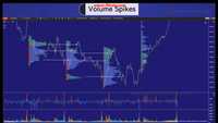 The volume traders 2024 curs Forex complet.