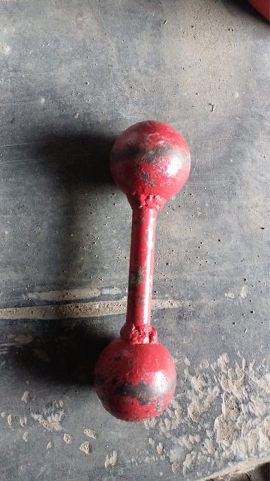 Гантель; гир 1шт