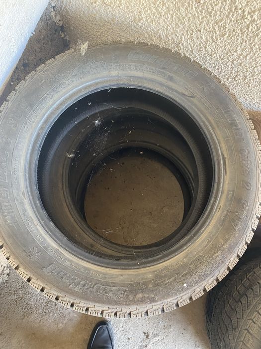 Зимниие шины Gordian