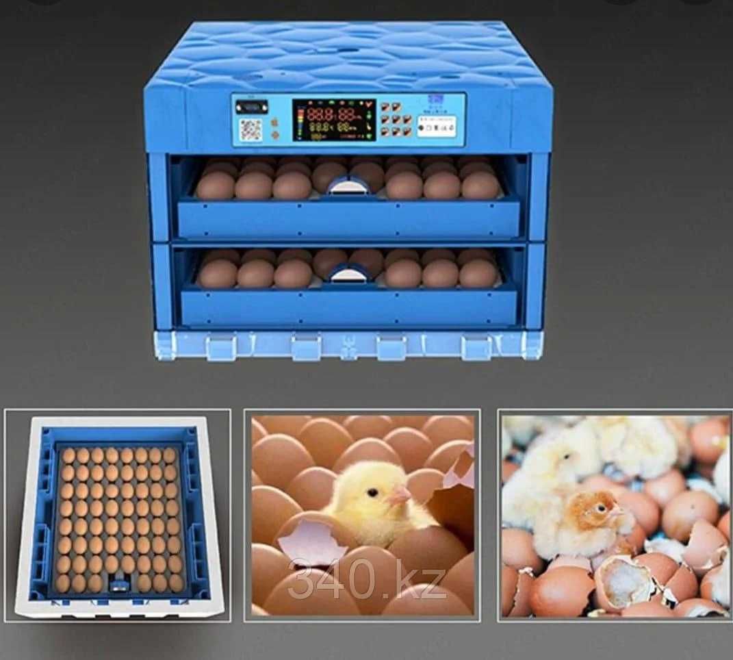 Инкубатор для яиц купить