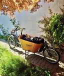 Cargo bike, babboe city electric