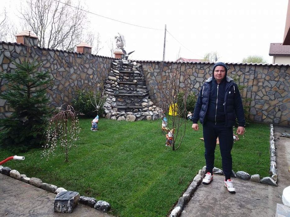 Plante ornamentale pentru gradina, magnolia ,tuia,ewudimus, photinia