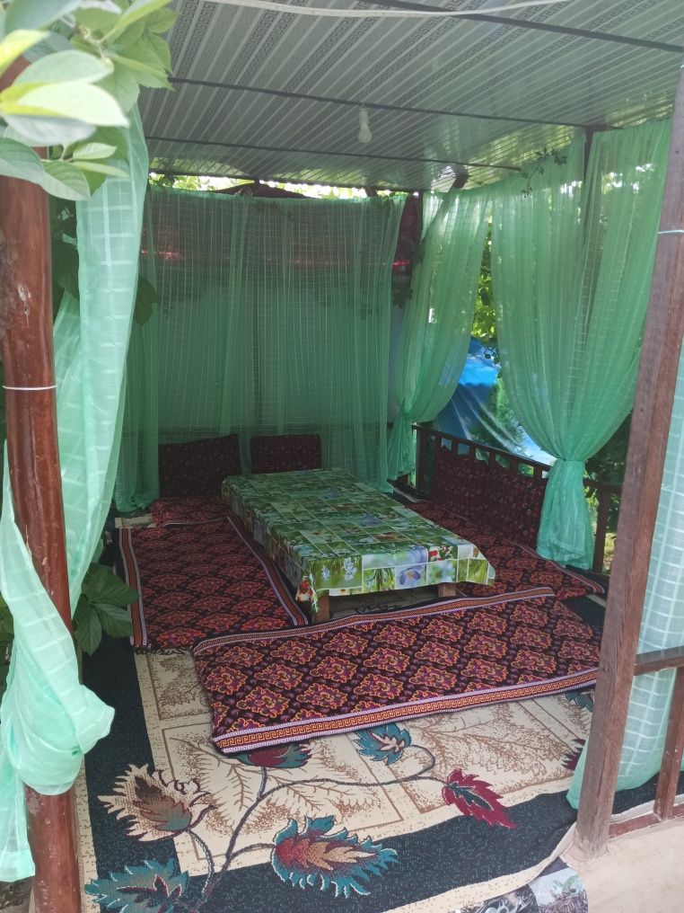 #Humsonda Dacha N1
