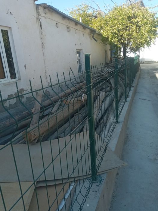 Утин черни паталок болор сотилади