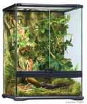 Terariu Sticla 45X45X60
