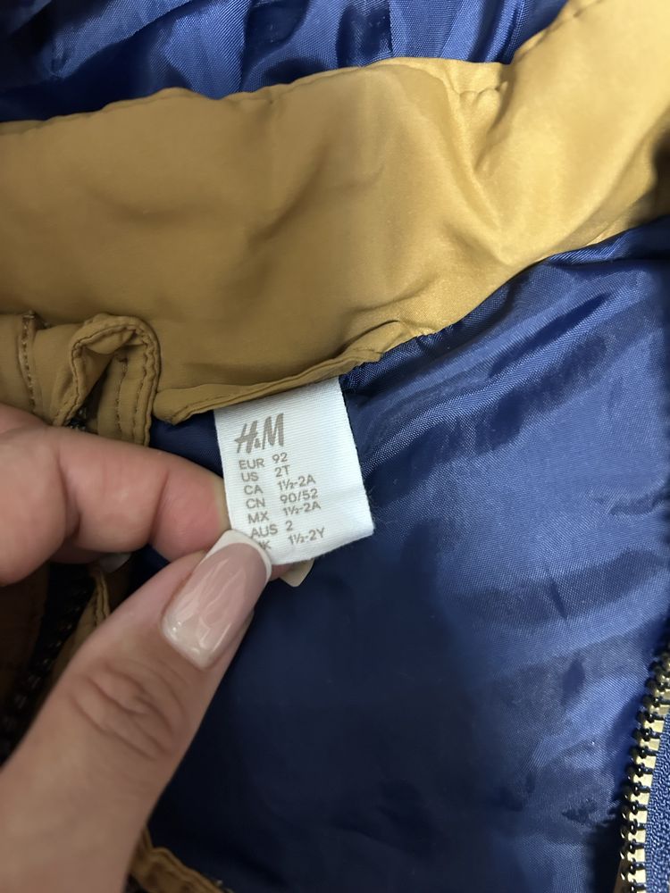 D&G Zara Marc Jacobs
