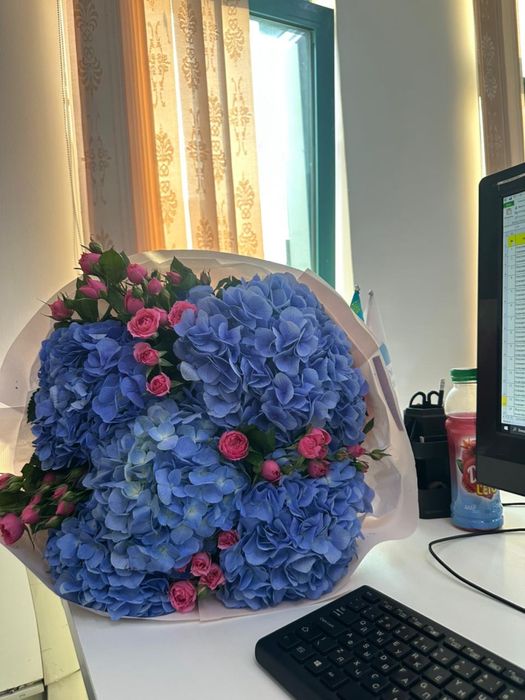 Гул сатылады  Воздушные гортензии и витрина