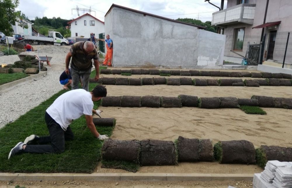 Gazon rulou 24 de lei m2 transport și montaj inclus în preț.