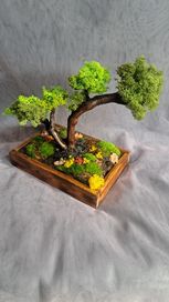 БОНСАЙ дърво със скандинавски мъх и естествени материали