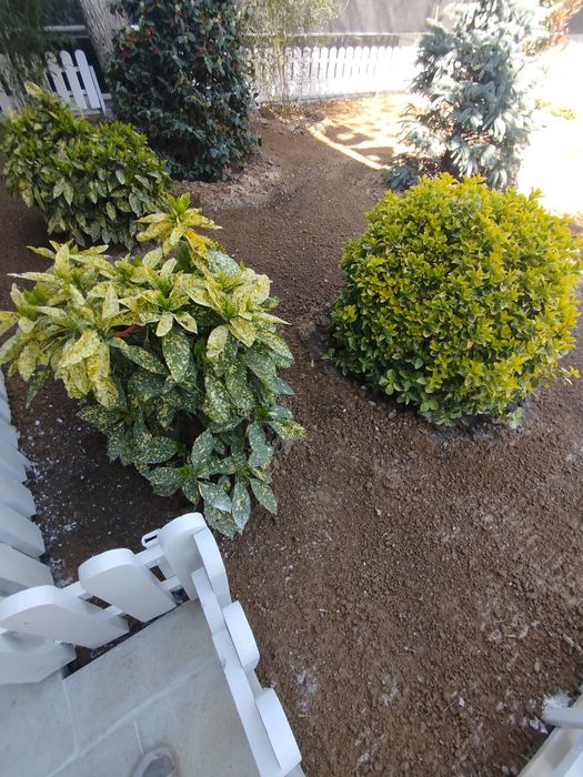 Идеальный газон для вашего двора свежий густой зелёный от 16 до 65 тыс