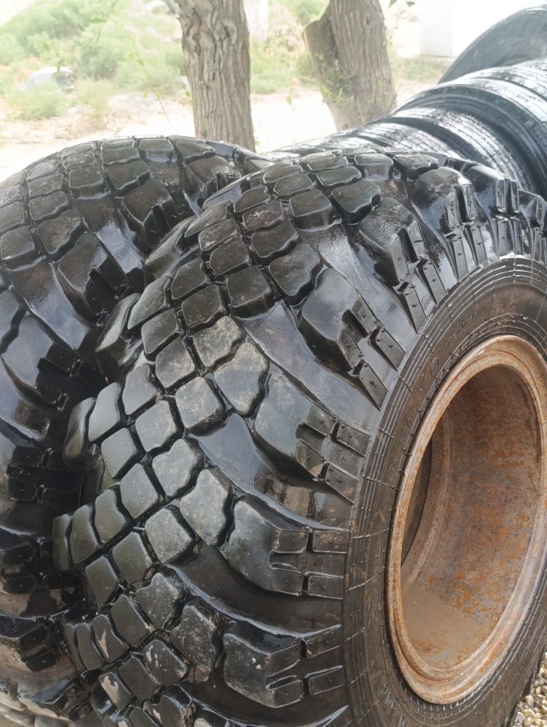 Ural Shina 1200×500