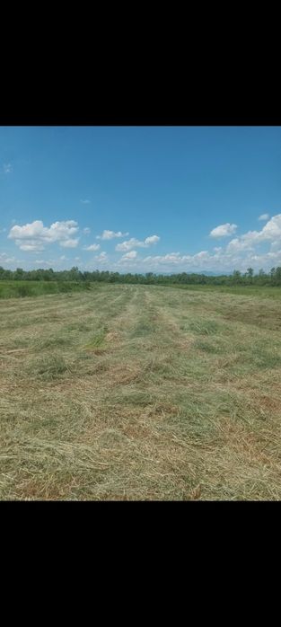 Vând baloti rotunzi