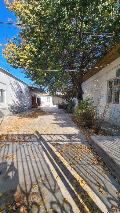 Готовый бизнес продаётса не дорого. локация: Шайхонтохур Ипакчи