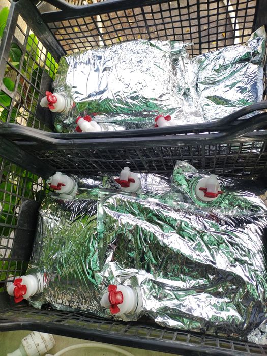 Suc de mere natural 100%