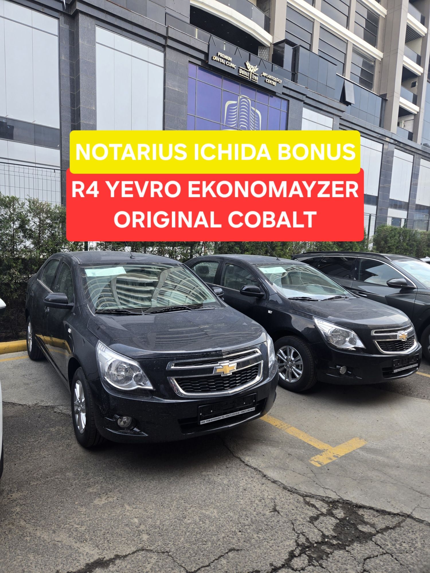 **Cobalt yevro R4 2025 elegant plus