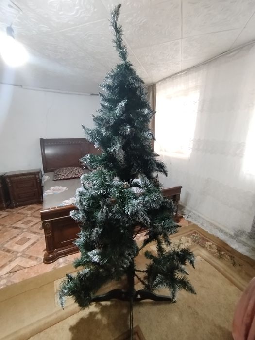 Ёлка сатылады хабарласыныз