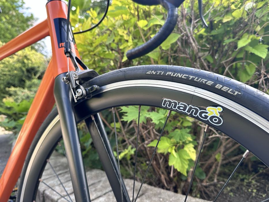 Single speed bike - Mango