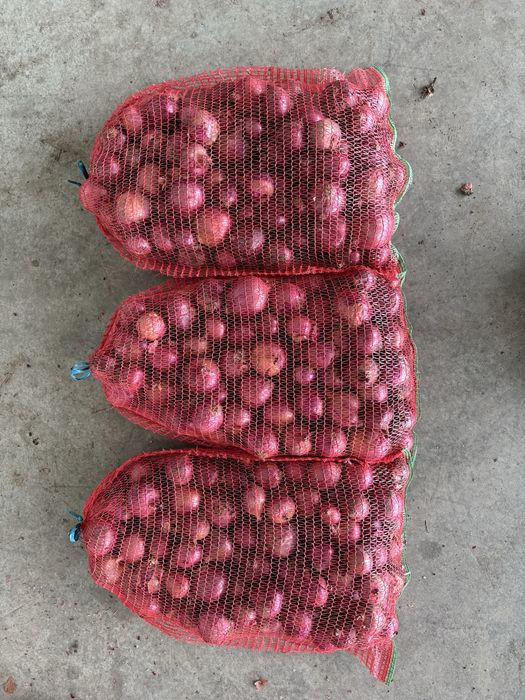 Vand ceapa galbena si rosie