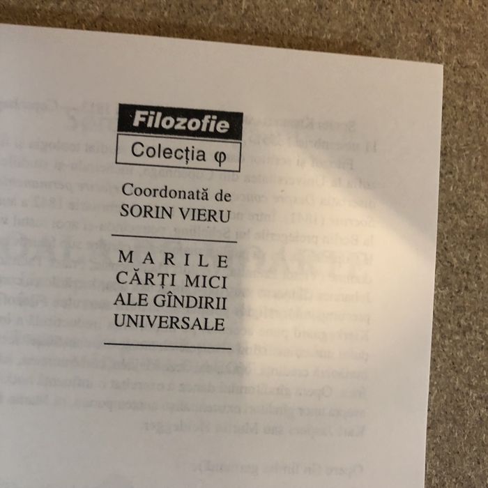 Soren Kierkergaard boala de moarte